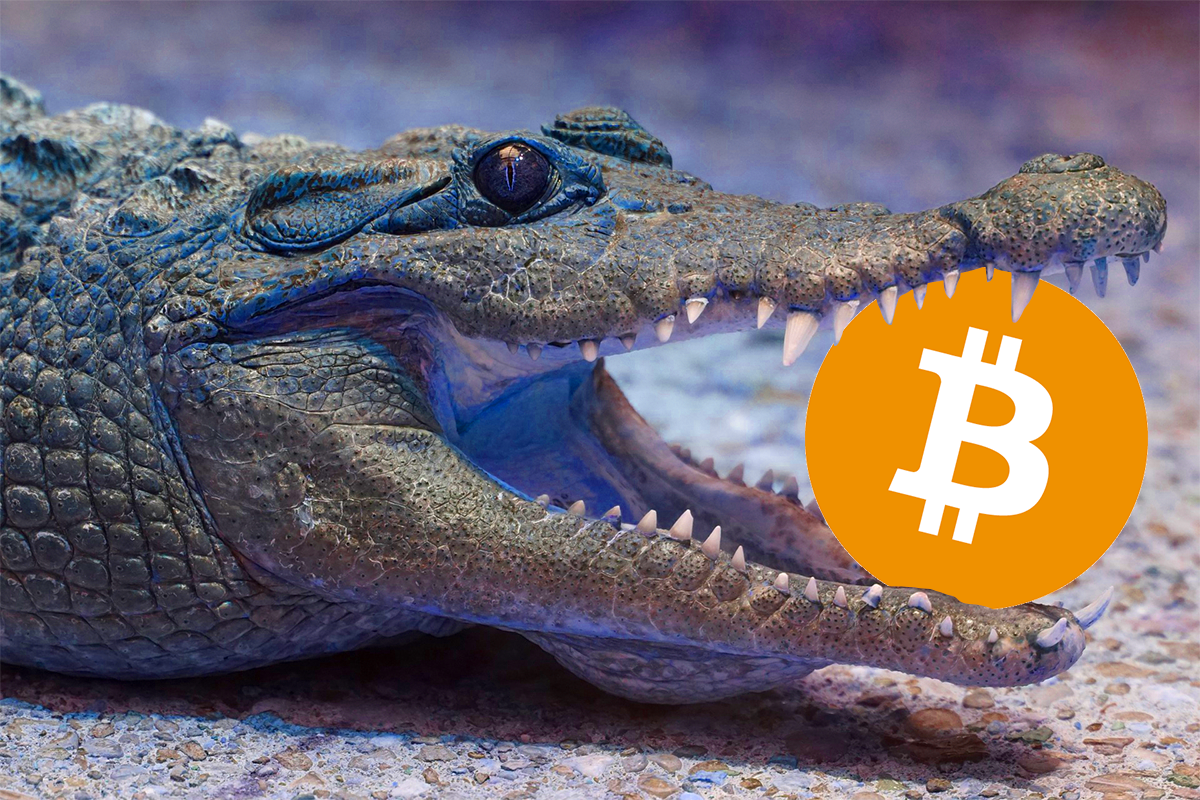 フィリピン中央銀行が2つの仮想通貨取引所の申請を認定 | NEXTMONEY｜仮想通貨メディア