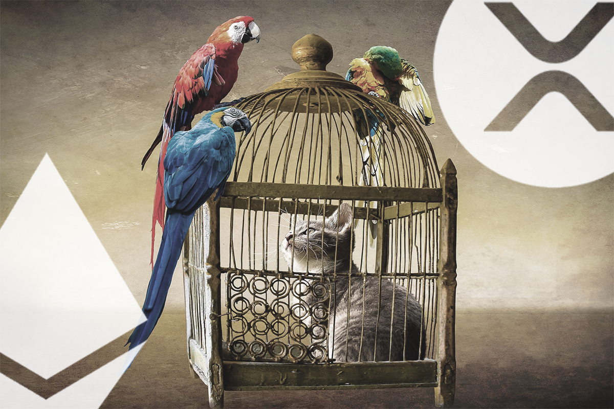 Xrp 価格 ネパールドル (98) 사진