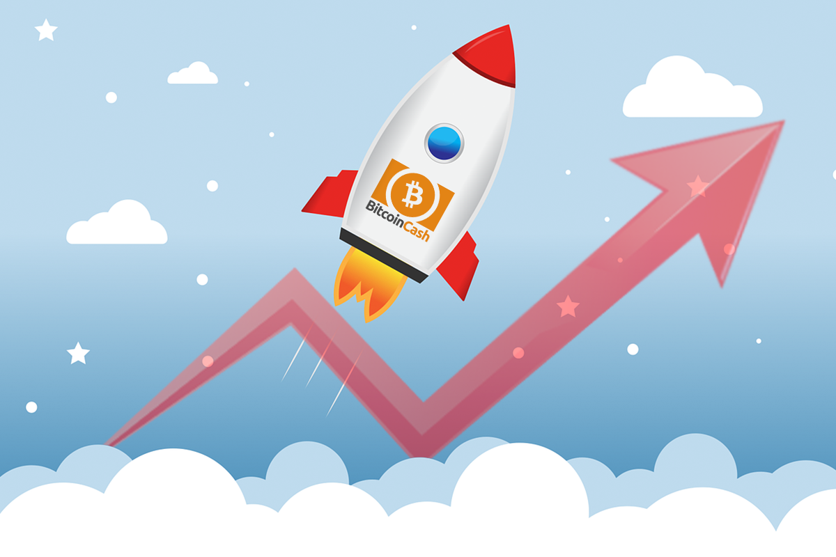 ビットコインキャッシュ(BCH)の価格が25％上昇｜ハードフォークに対応する取引所一覧や、なぜBCHが上昇したのかを解説！ |  NEXTMONEY｜仮想通貨メディア