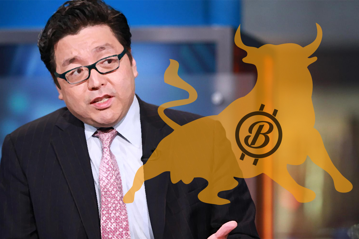 米国Fundstrat社のトム・リー氏は、「ビットコインの適正価格は現在の価格よりもっと高い」と発言 | NEXTMONEY｜仮想通貨メディア