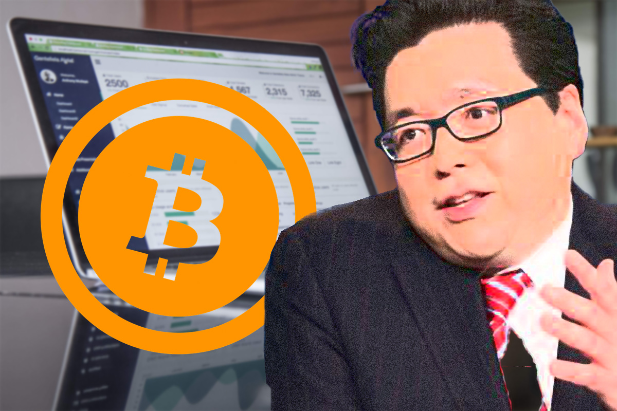 またもトム・リー氏が発言｜「現時点のビットコイン(BTC)の価格は、適正価格に達していない」 | NEXTMONEY｜仮想通貨メディア
