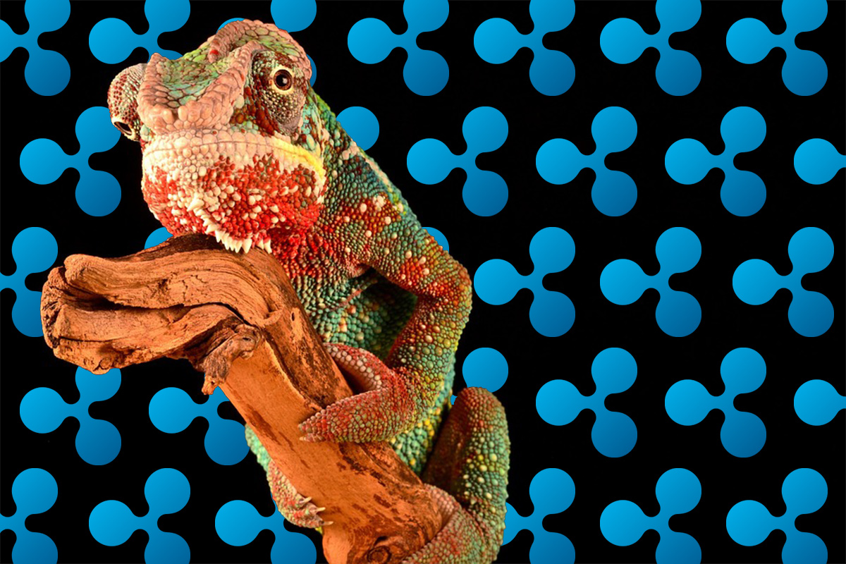 GateHubでハッキングされたXRP、取引所バイナンスや他の仮想通貨取引所への移動を確認 | NEXTMONEY｜仮想通貨メディア