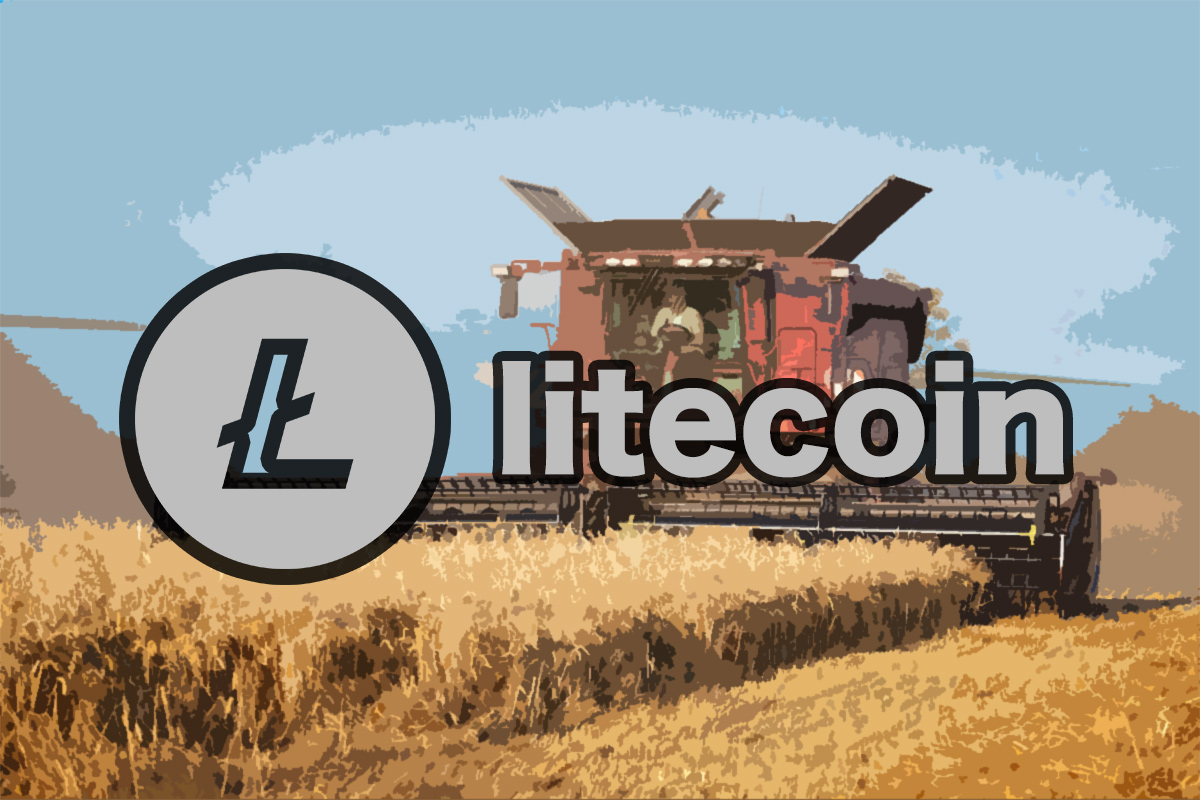 8月が“半減期”の仮想通貨ライトコイン、依然としてLTC価格に変化なし | NEXTMONEY｜仮想通貨メディア