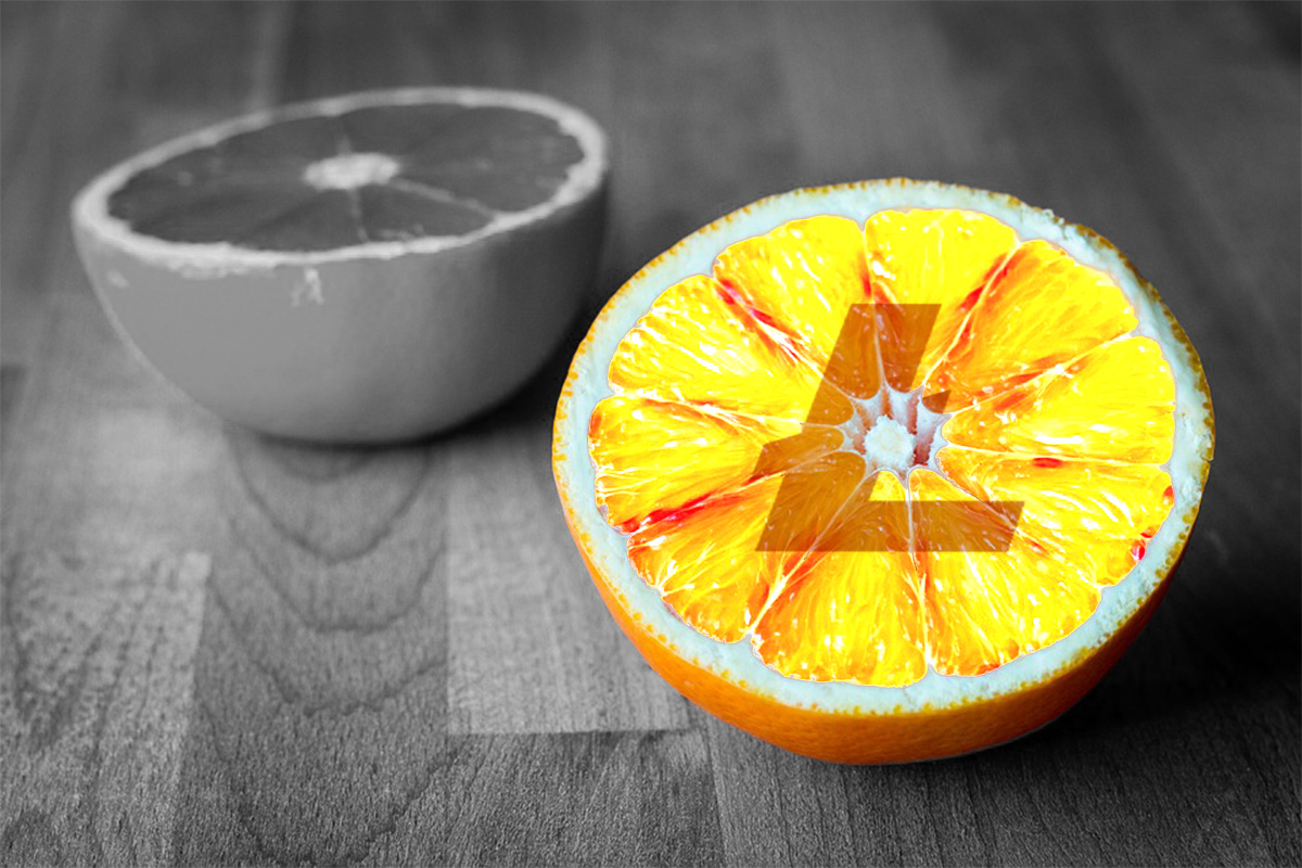 ライトコインは突然ミームコインへ移行=価格急騰でLTCホルダーは全力を注ぐ| NEXTMONEY｜仮想通貨メディア