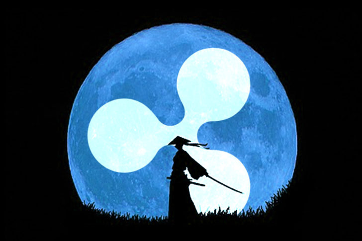 リップル社cto 批判的なコミュニティメンバーを一刀両断 その意見に答えることは出来ない Nextmoney 仮想通貨メディア