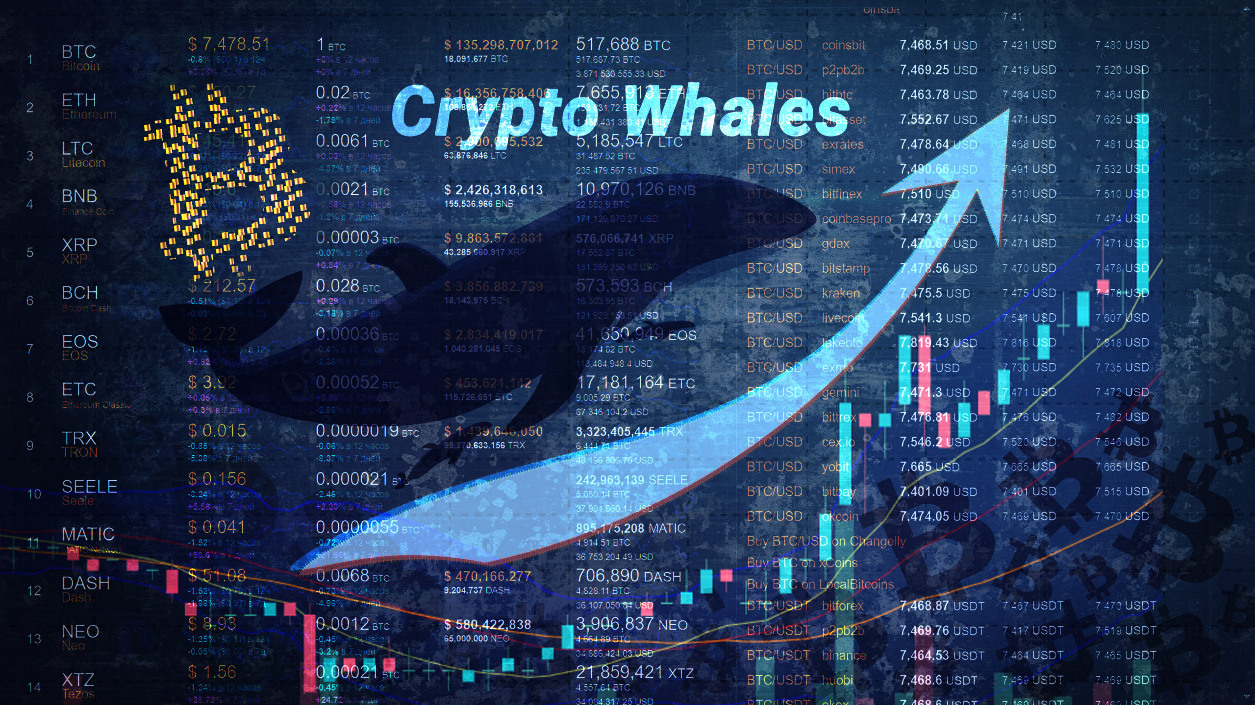 ビットコイン上昇の中、クジラ所有権が集中化＝Bloomberg | NEXTMONEY｜仮想通貨メディア