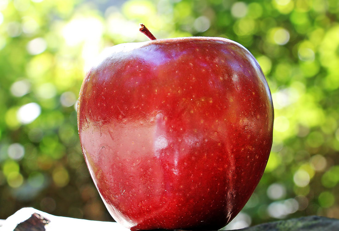 Appleが高利回り普通預金口座開設でDeFiに挑戦する可能性が浮上| NEXTMONEY｜仮想通貨メディア