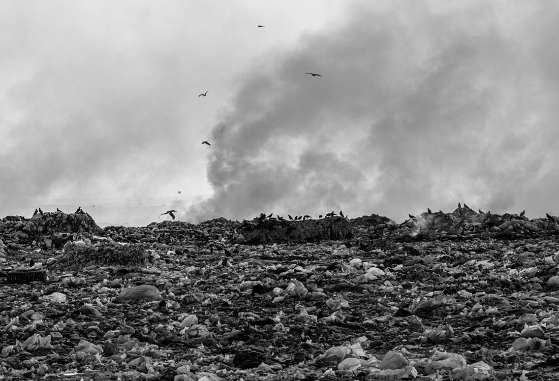 ビットコイン巨額損失を巡って投資家が市議会に対して法的措置| NEXTMONEY｜仮想通貨メディア