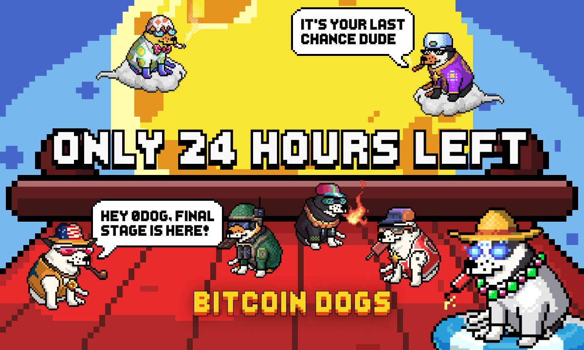 Bitcoin Dogs、1150万ドル以上を調達し、プレセール終了まで24時間を切る | NEXTMONEY｜仮想通貨メディア