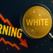 ZachXBTによる調査対象となったWHITEトークンとZKasinoに関する警告を象徴するビジュアル