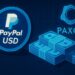 PaxosとPayPalのロゴが描かれたサイバー調のデジタルアート。ステーブルコインPYUSDの誤発行を象徴する抽象的なブロックチェーン背景。